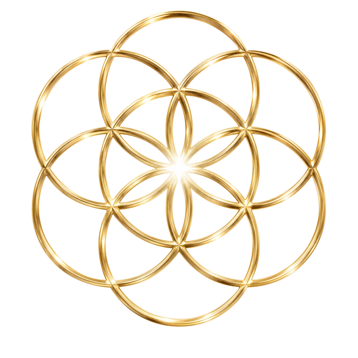 Flor de la vida - qi naturopatia